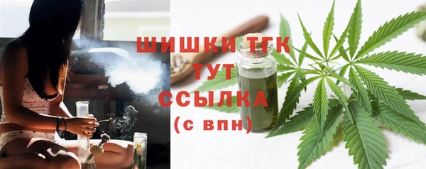 спиды Ладушкин