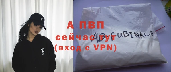 спиды Ладушкин