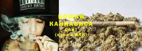 спиды Ладушкин