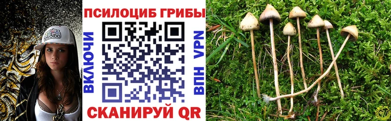 Псилоцибиновые грибы Magic Shrooms  Энем 